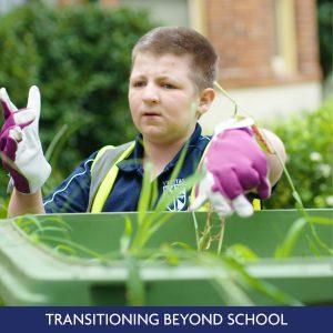 Transitioning Beyond School